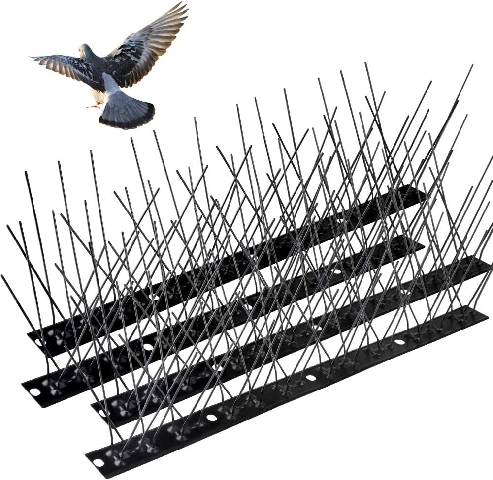 Anti Bird Spikes Installation