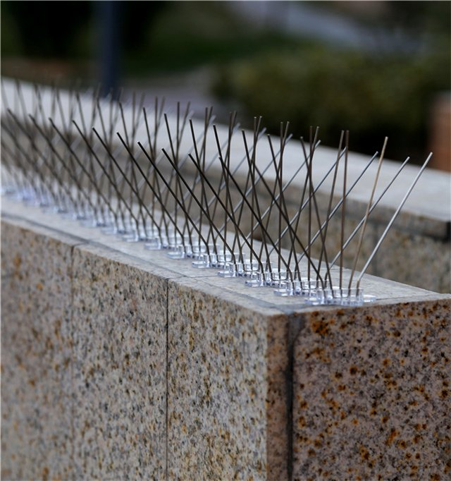 Anti Bird Spikes Installation Andhra Pradesh Telangana Khammam